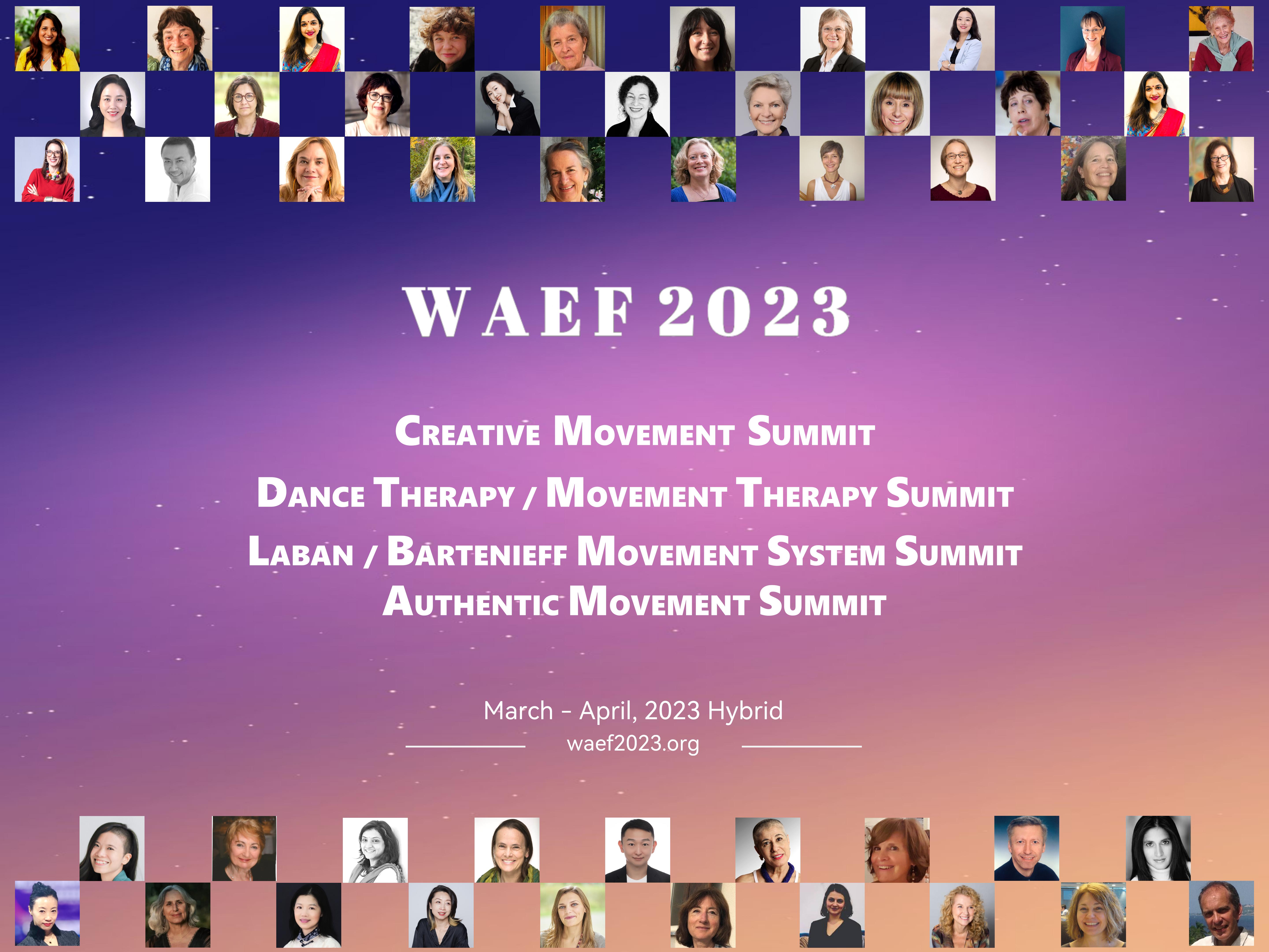 WAEF 2023 Summits