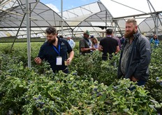 Rossouw Lambrechts of Delecta Fruit beside Erasmus Coetzee, manager of Lebombo Cape's Houtbaai farm