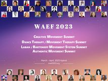 WAEF 2023 Summits